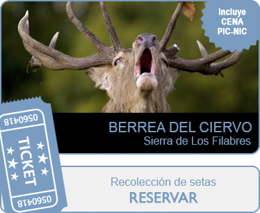 Berrea del Ciervo - Reservar