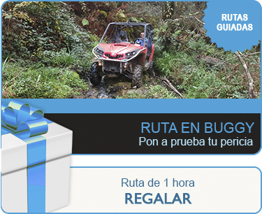 Ruta en Bugy - Regalar