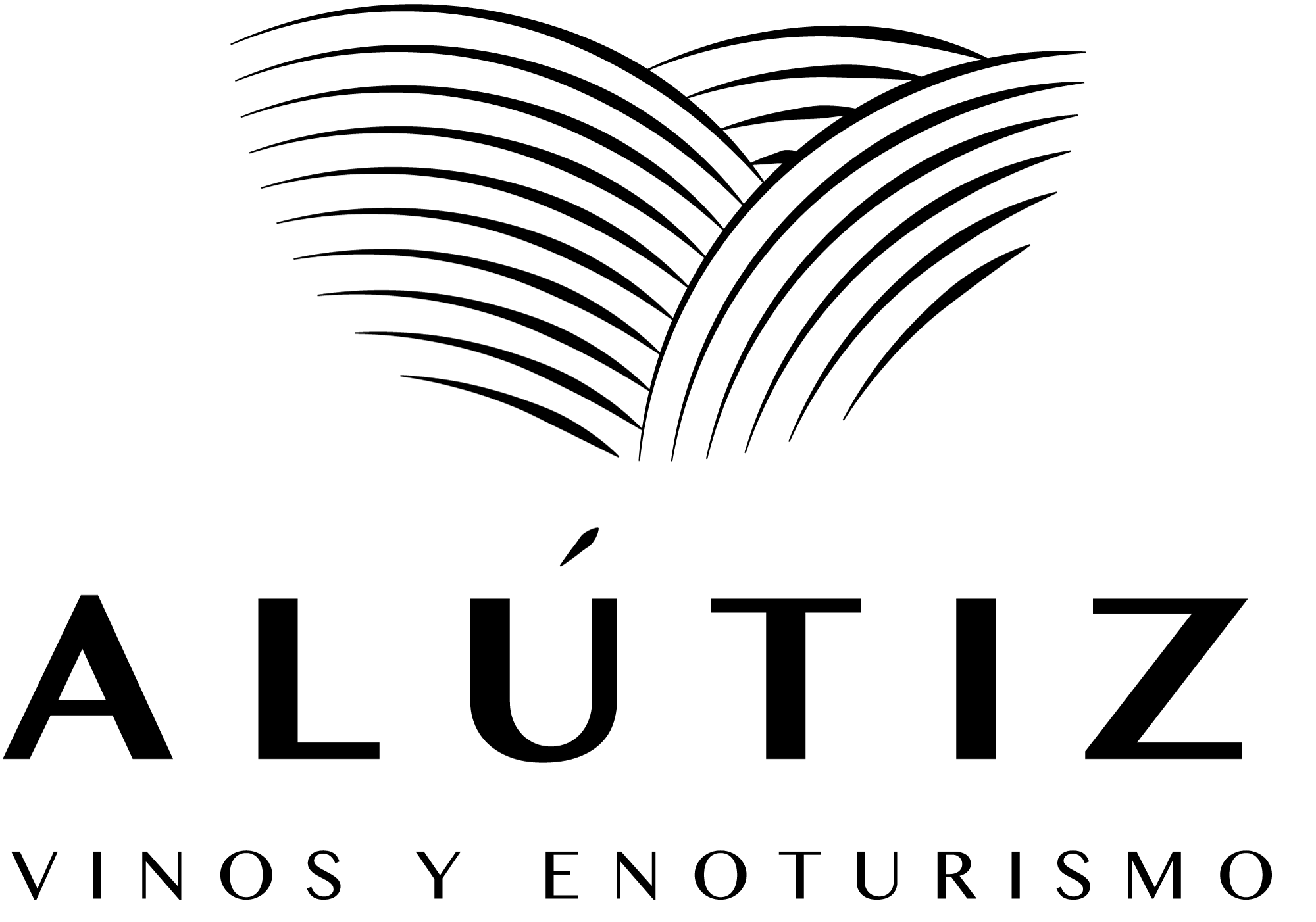 Logotipo Mi web