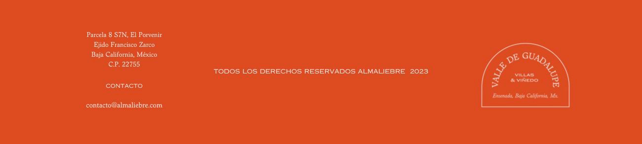 Logotipo Mi web