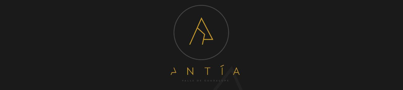Logotipo Mi web