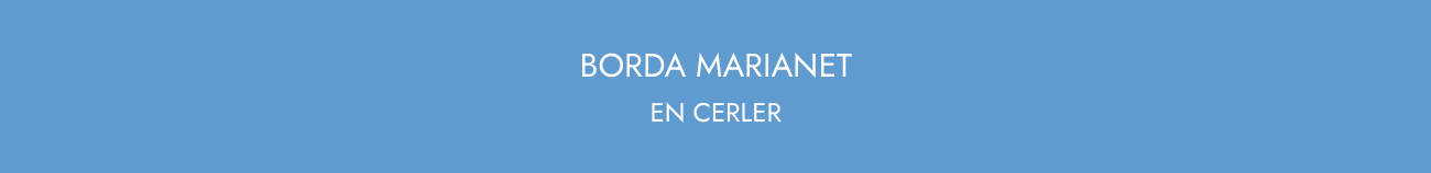Logotipo Mi web
