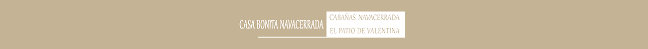 Logotipo Mi web