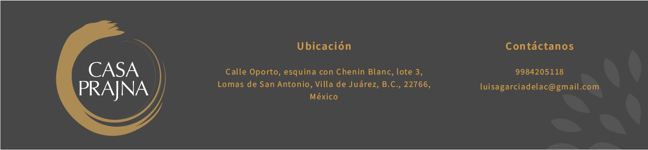 Logotipo Mi web