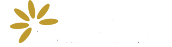 Logotipo Mi web