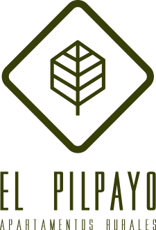 Logotipo Mi web