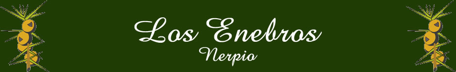 Logotipo Mi web