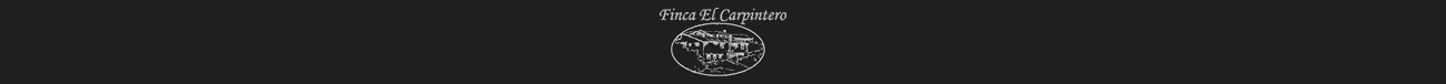 Logotipo Mi web