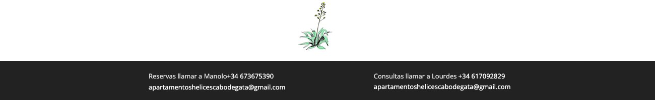 Logotipo Mi web