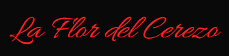 Logotipo Mi web