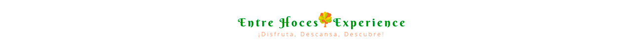 Logotipo Mi web