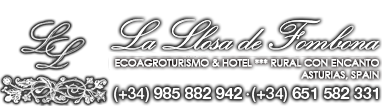 Logotipo Mi web