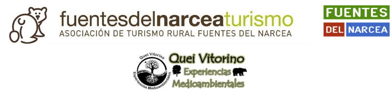 Logotipo Mi web