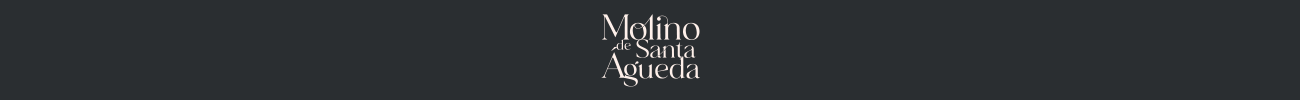 Logotipo Mi web