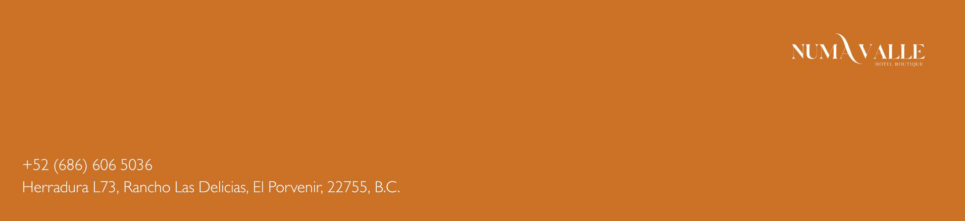 Logotipo Mi web