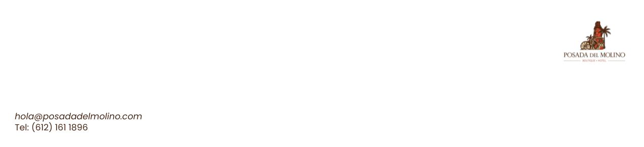 Logotipo Mi web