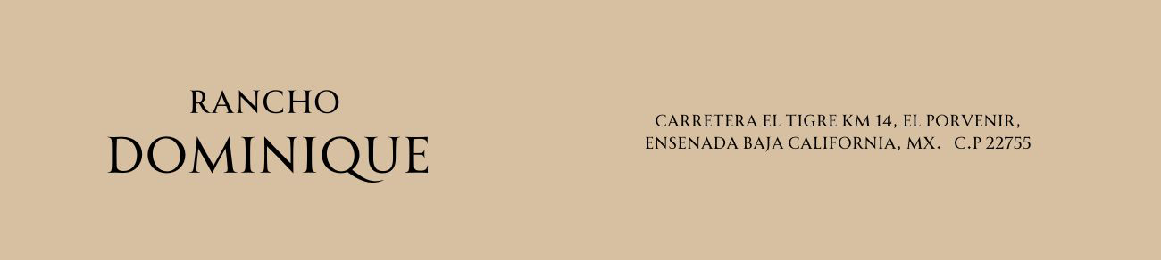 Logotipo Mi web
