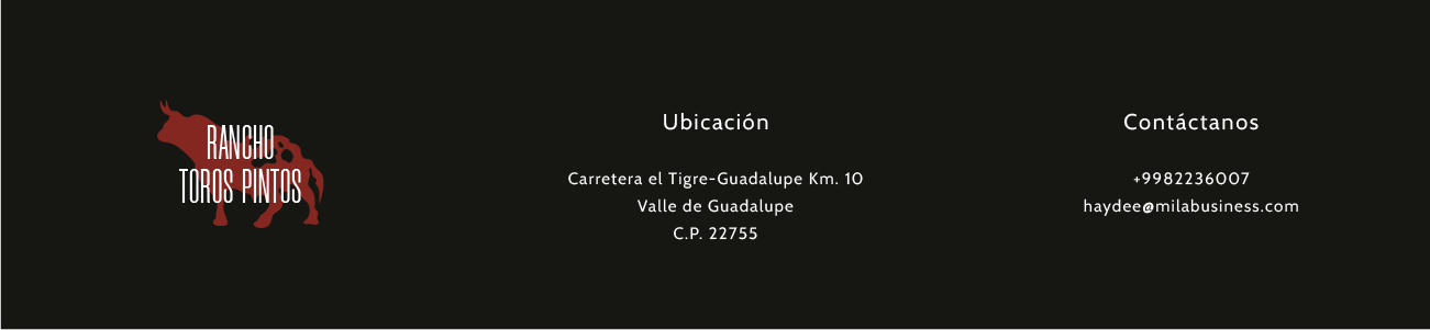 Logotipo Mi web