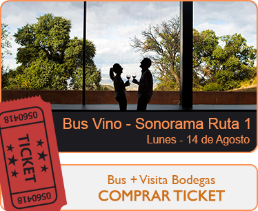 Zona Aranda de Duero - Comprar Ticket