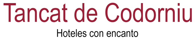 Logotipo Mi web