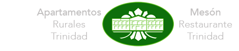 Logotipo Mi web