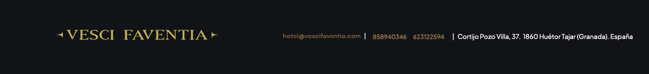 Logotipo Mi web