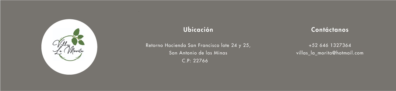 Logotipo Mi web